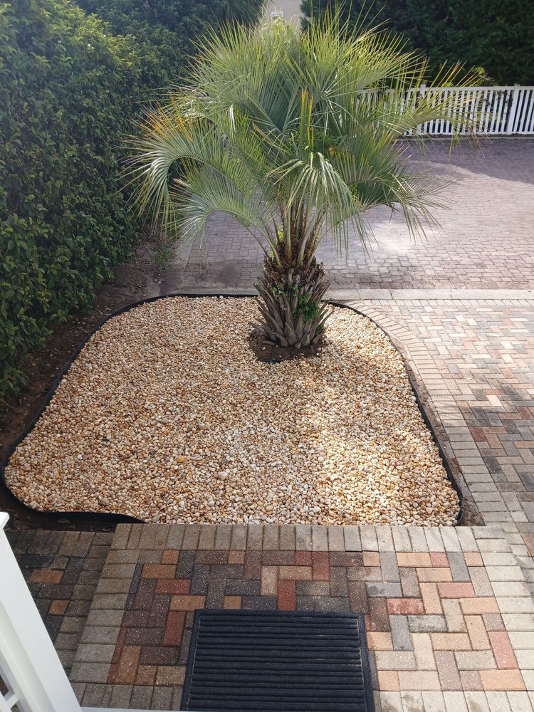 Paver driveway and walkway with palm tree and gravel landscaping